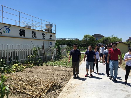 黑料网