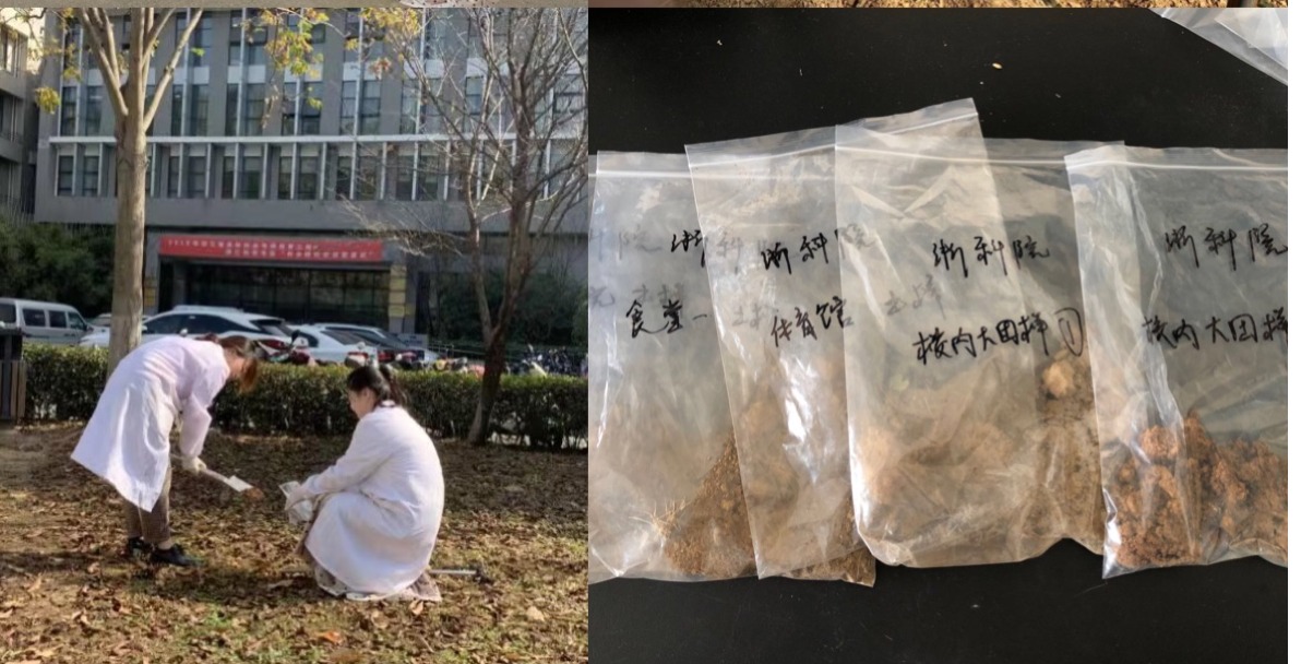 黑料网