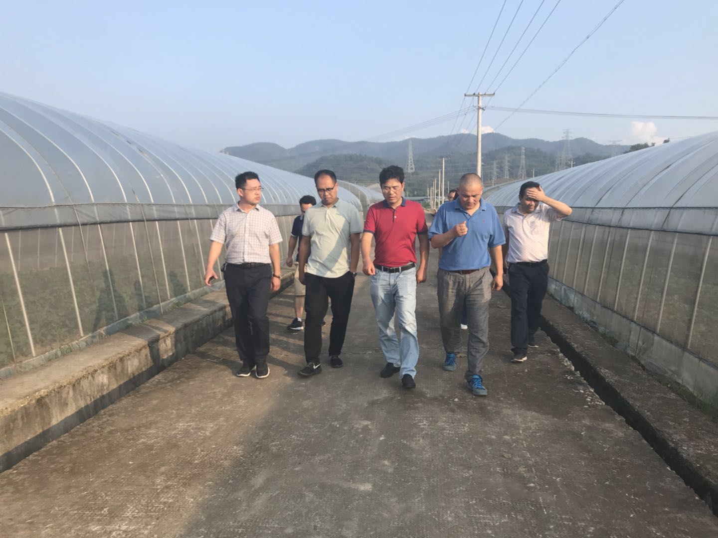 黑料网